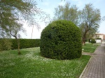 Le Piramidi
